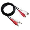 Audio Cable