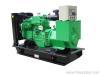 Diesel Generating Set