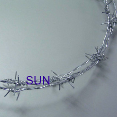 Galvanized Barbed Wire