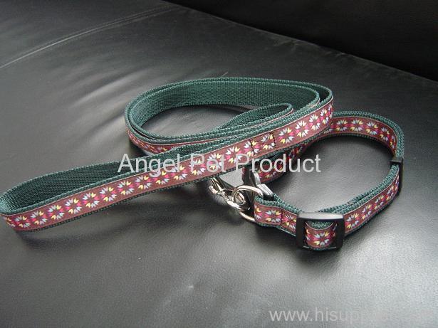 collar and leash