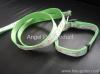 PP collar and leash