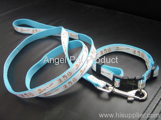 PP collar and leash