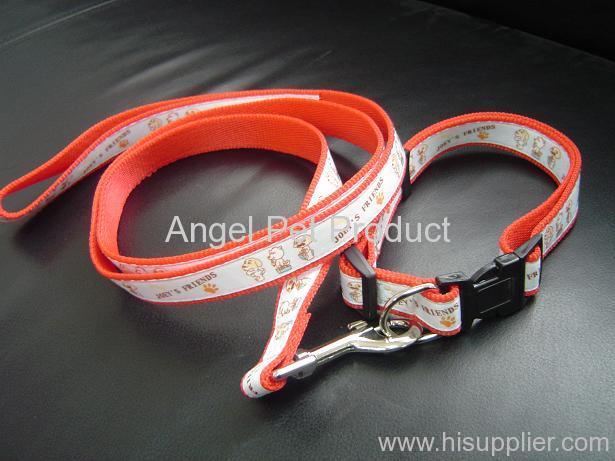 PP COLLAR AND LEASH