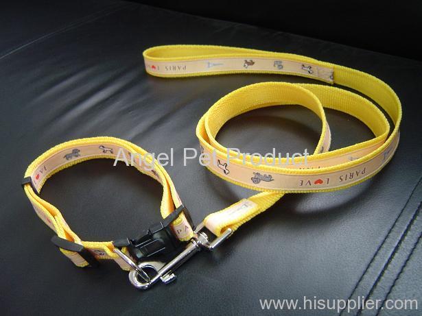 PP COLLAR AND LEASH