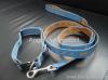 PP COLLAR AND LEASH