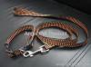 pet collar and leash