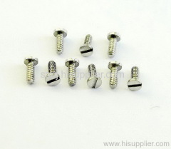 Precision Turning Screw