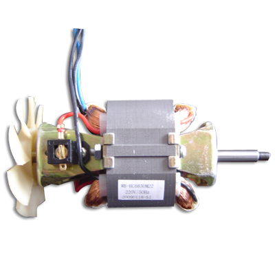 120VAC/50Hz AC Motor