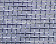 Galvanized Square Wire Mesh