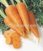 carrot puree