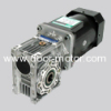 Worm Geared Motor