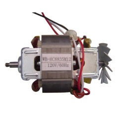 AC Motor Shredder Motors