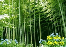 Bamboo leaf Extract