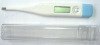 Digital Clinical Thermometer