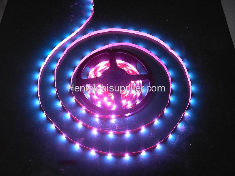 LED STRIP