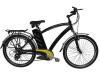 Mountain Electric Bike