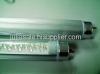 led T8 tube