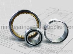 Double row cylindrical roller bearings