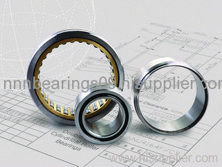 Double row cylindrical roller bearings