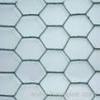 hexagonal wire mesh