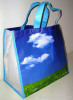 Non woven bag