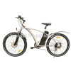 Electric Mountain Bike