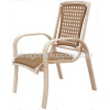 Dining  Chair