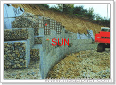 Welded wire mesh gabion