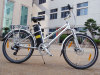 city e-bicycle