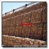 Rockfall Mesh