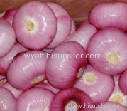 red onion