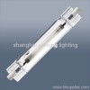 Double ended sodium lamp