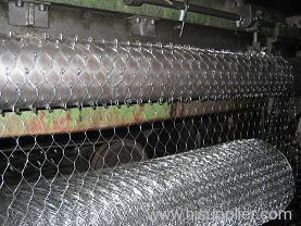 Hexagonal Wire Mesh