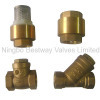 brass check valve & strainer