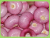 red onion