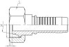 O-ring Metric Female 24° Cone Seal L.T.