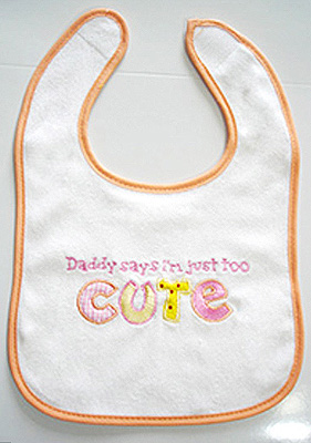 Embroidered Baby's Bib