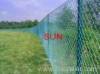 Chain link Fence