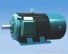 YVP series motor