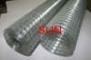 Welded wire Mesh