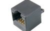 RJ45 modular jack