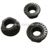 DIN 6923 Hex Flange Nut