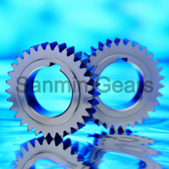 Spur Gear