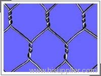 Hexagonal wire mesh