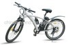 electric hybrid bicycle