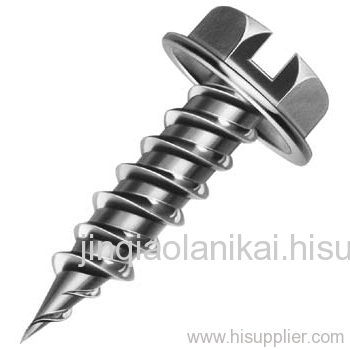 High Quality Screw Nails