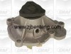 Nissan Water Pump