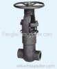 Presure-Seal Gate Valve