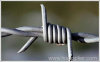 barbed wire