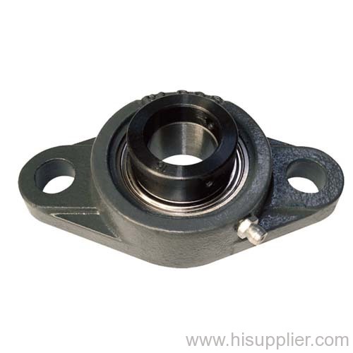 Two-Bolt flange fit bearing insert for machinery parts